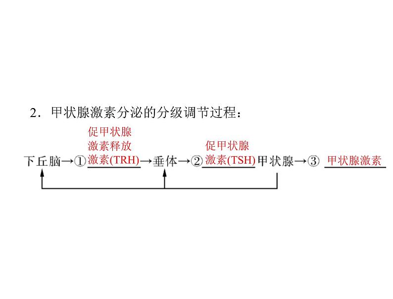 新人教版生物必修三：2.2《通过激素的调节》ppt课件（47页）08