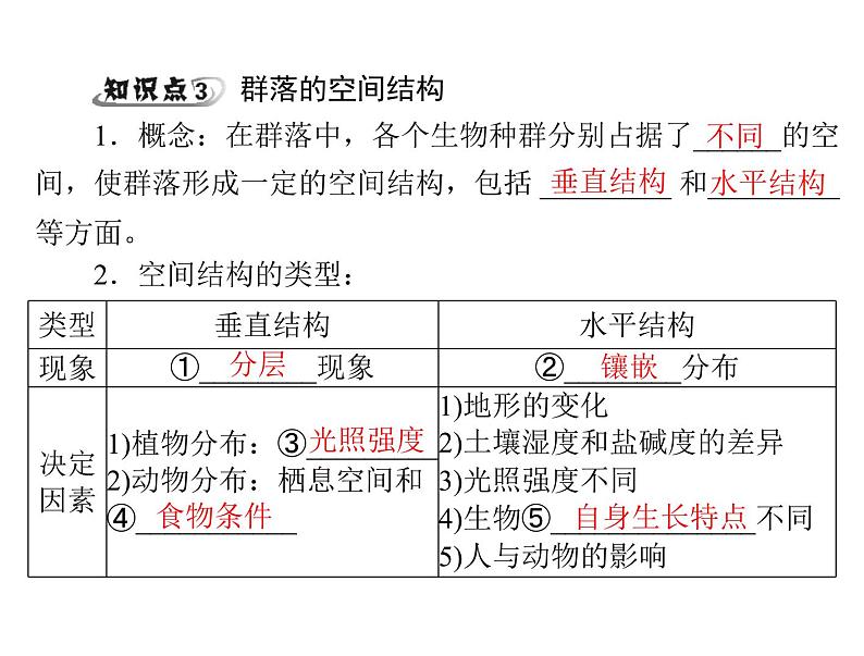 新人教版生物必修三：4.3《群落的结构》ppt课件（47页）08