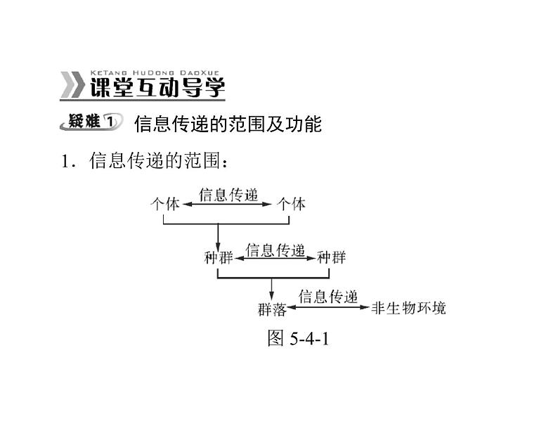 新人教版生物必修三：5.4《生态系统的信息传递》ppt课件（26页）07