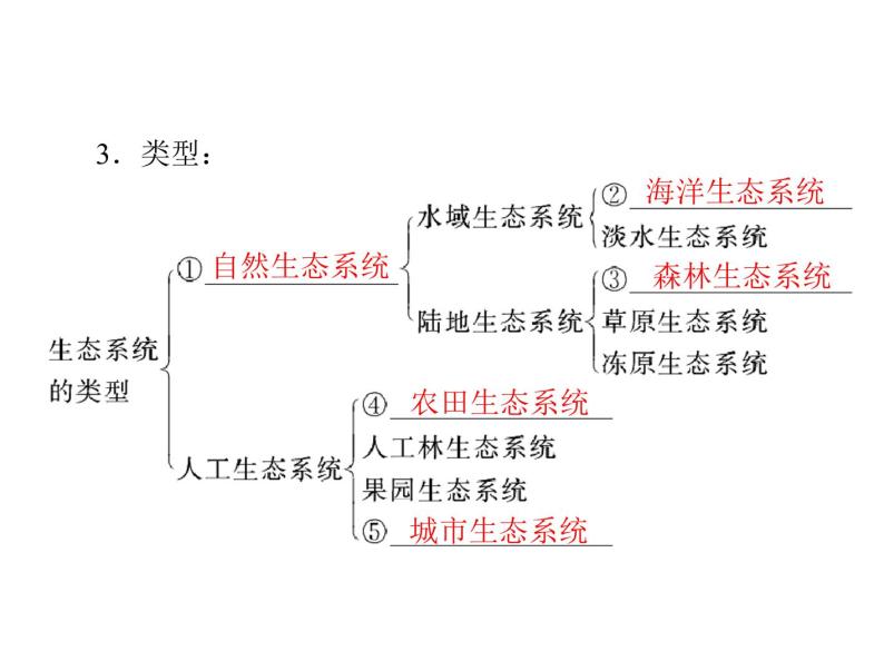 新人教版生物必修三：5.1《生态系统的结构》ppt课件（35页）03