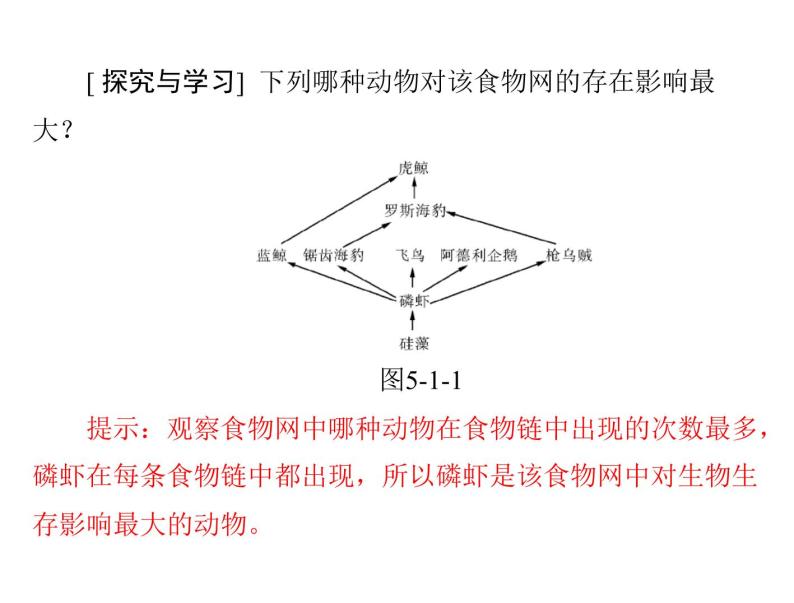 新人教版生物必修三：5.1《生态系统的结构》ppt课件（35页）08