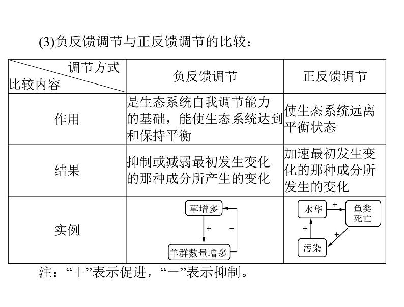 新人教版生物必修三：5.5《生态系统的稳定性》ppt课件（31页）07