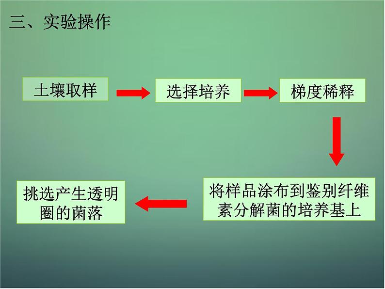 高中生物 2.3分解纤维素的微生物的分离课件 新人教版选修107