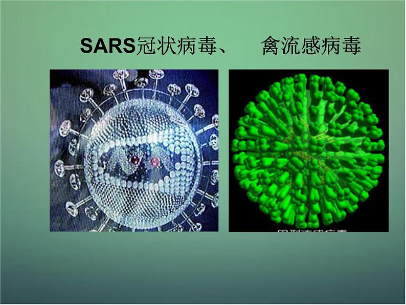 高中生物 2.1微生物的培养与应用--微生物的实验室培养课件 新人教版选修106