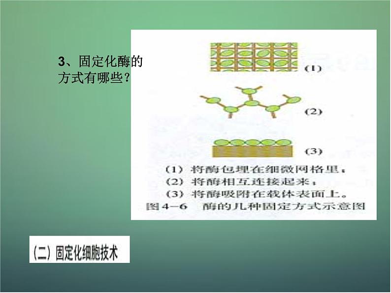 高中生物 4.3酵母细胞的固定化课件 新人教版选修105