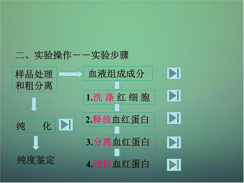 高中生物 5.3血红蛋白的提取和分离课件 新人教版选修104