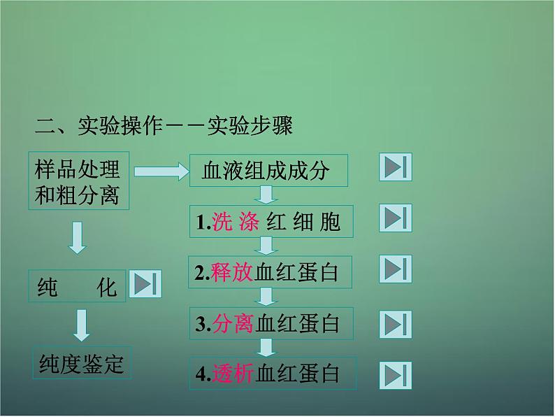 高中生物 5.3血红蛋白的提取和分离课件 新人教版选修105