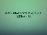 高中生物 5.2DNA多聚酶链式反应扩增DNA片断课件 新人教版选修1