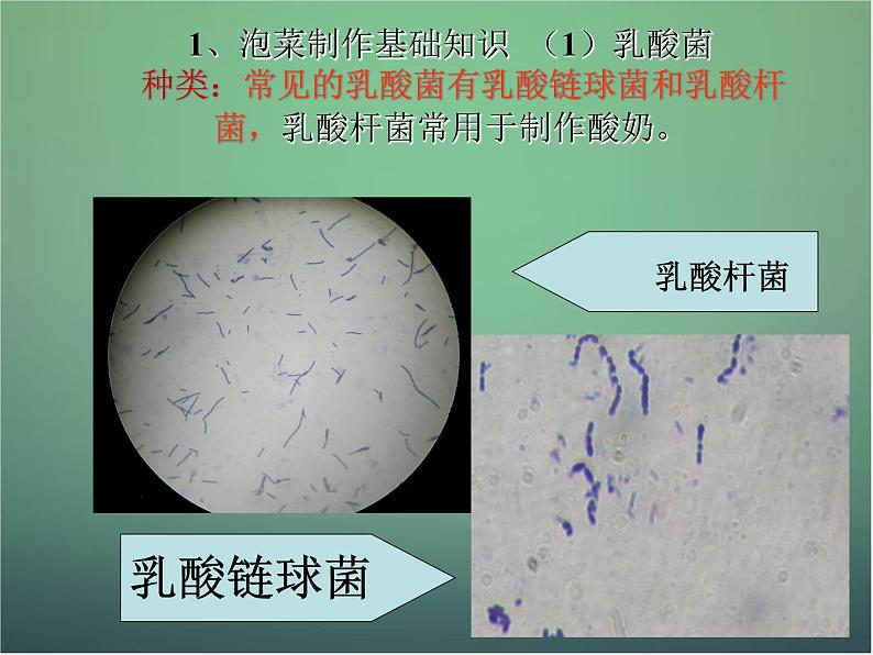 高中生物 1.3制作泡菜并检测亚硝酸盐含量课件 新人教版选修105