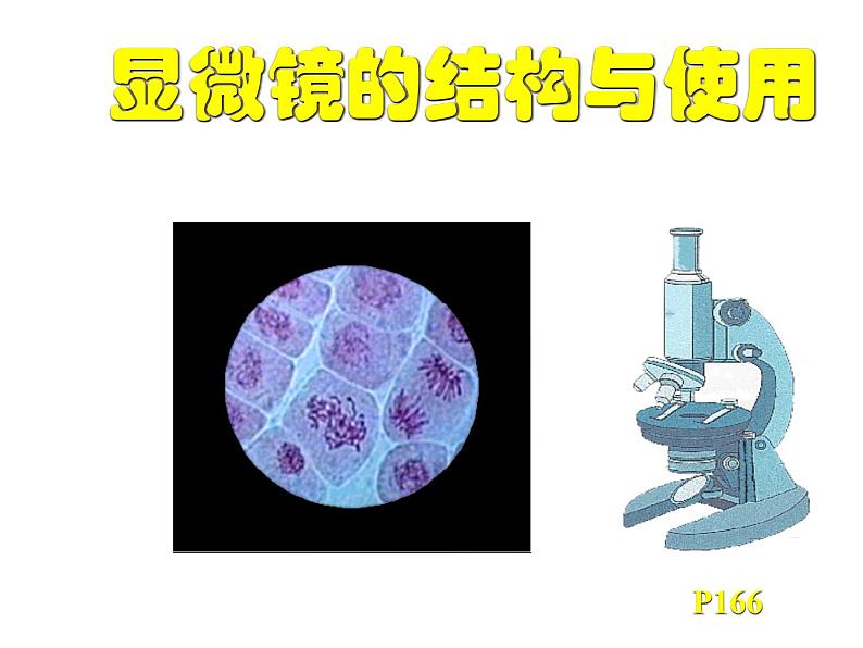 人教版高一生物必修1课件：第一章 显微镜的使用与结构01