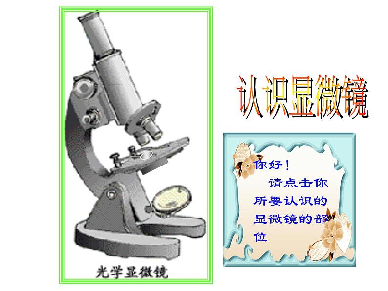 人教版高一生物必修1课件：第一章 显微镜的使用与结构03