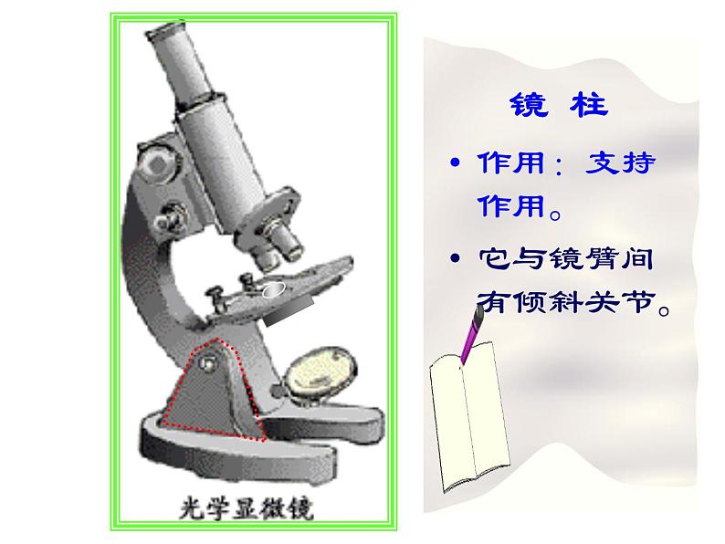 人教版高一生物必修1课件：第一章 显微镜的使用与结构05