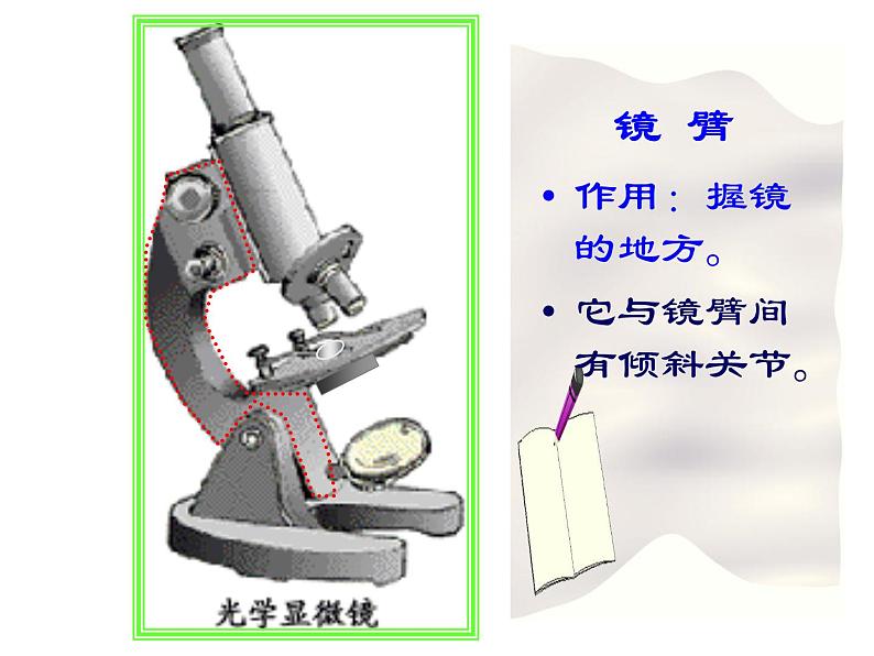 人教版高一生物必修1课件：第一章 显微镜的使用与结构06