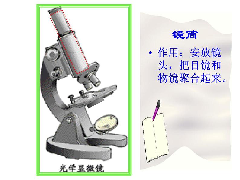 人教版高一生物必修1课件：第一章 显微镜的使用与结构07