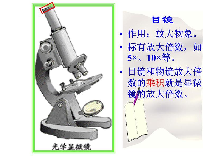 人教版高一生物必修1课件：第一章 显微镜的使用与结构08