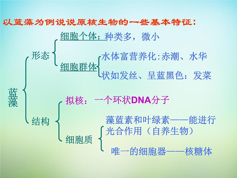 人教版高一生物必修1课件：1.2细胞的多样性和统一性07