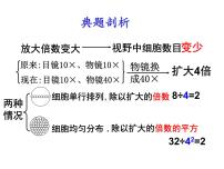 生物必修1《分子与细胞》第1节 细胞中的元素和化合物教课内容课件ppt