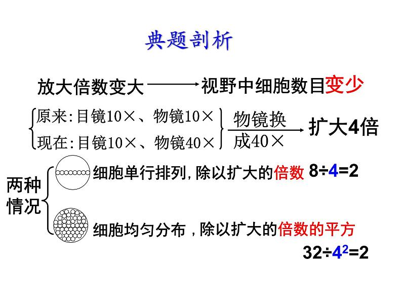 人教版高一生物必修1课件：2.1 细胞中的元素和化合物01