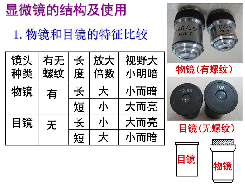 人教版高一生物必修1课件：2.1 细胞中的元素和化合物02