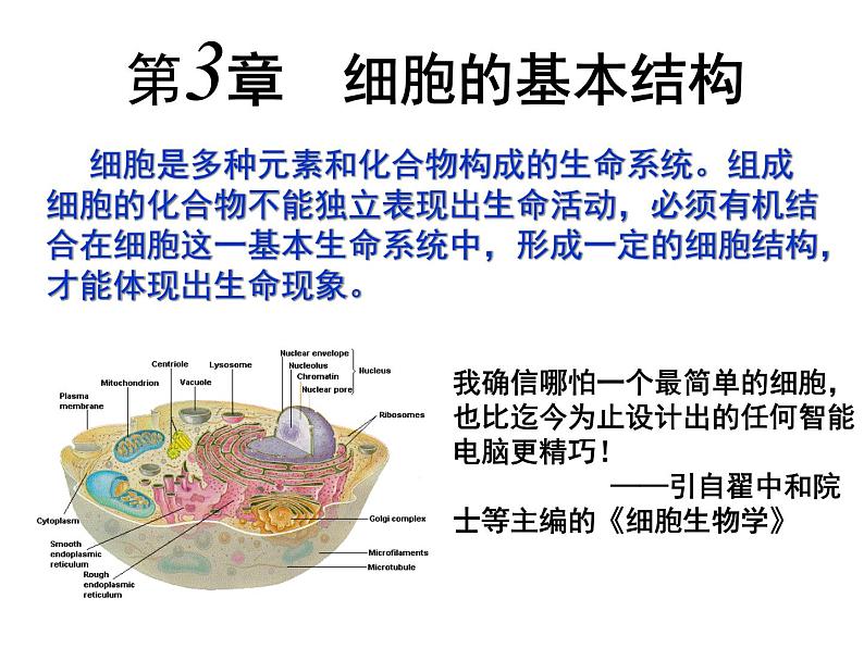 人教版高一生物必修1课件：3.1 细胞膜-系统的边界 （共42张PPT）01