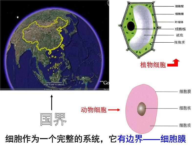 人教版高一生物必修1课件：3.1 细胞膜-系统的边界 （共42张PPT）02