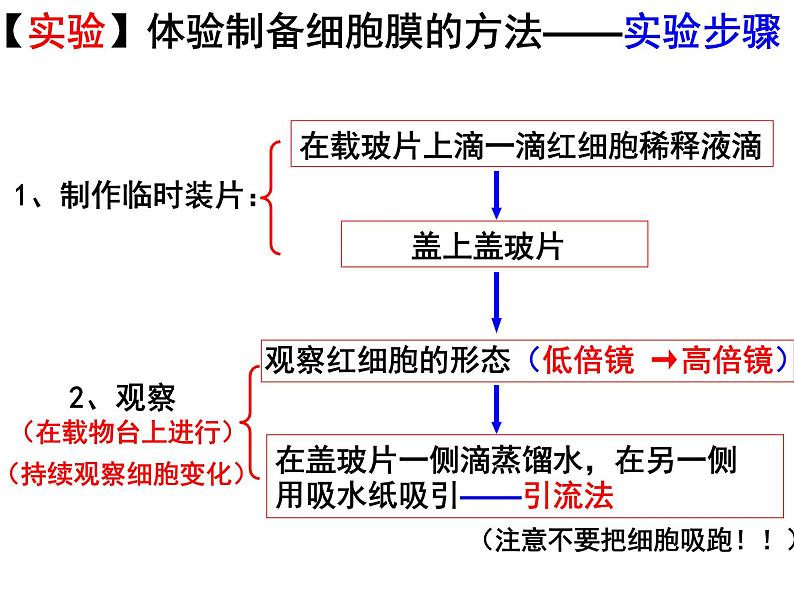 人教版高一生物必修1课件：3.1 细胞膜-系统的边界 （共42张PPT）08