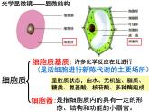 人教版高一生物必修1课件：3.2.2细胞器——系统内的分工与合作1
