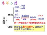 人教版高一生物必修1课件：4.1 物质跨膜运输的实例 （共32张PPT）