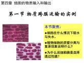 人教版高一生物必修1课件：4.1 物质跨膜运输的实例 （共32张PPT）