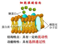 人教版 (新课标)必修1《分子与细胞》第3节 物质跨膜运输的方式备课ppt课件