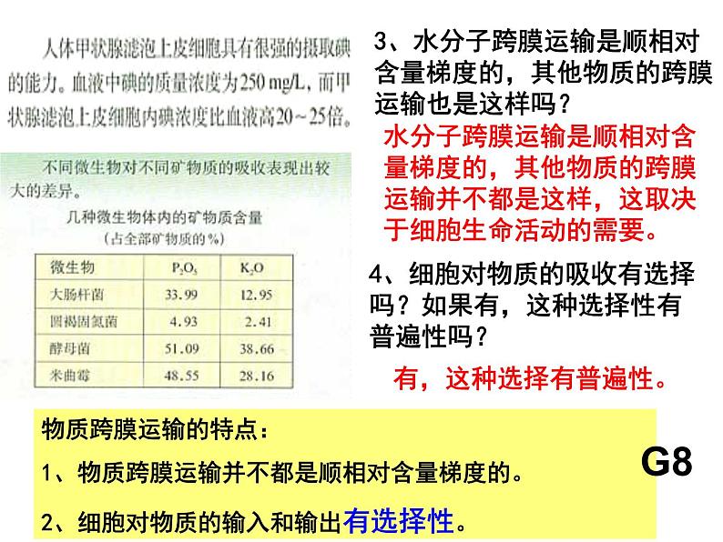 人教版高一生物必修1课件：4.2 生物膜的流动镶嵌模型 （共44张PPT）04