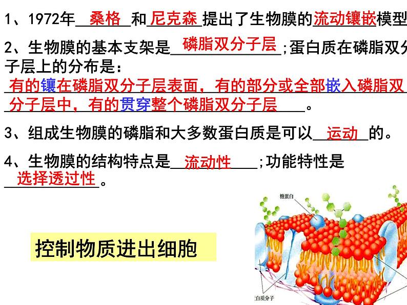 人教版高一生物必修1课件：4.3 物质跨膜运输的方式201