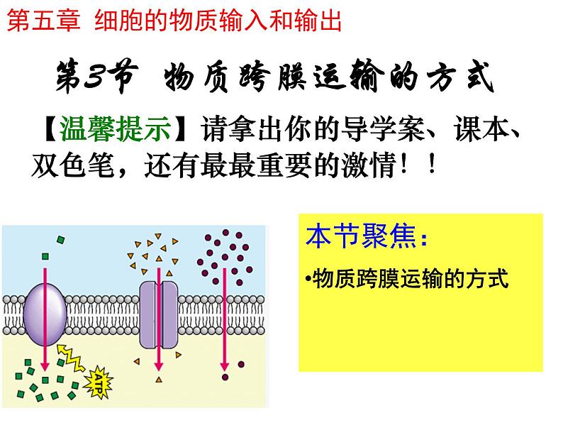 人教版高一生物必修1课件：4.3 物质跨膜运输的方式202