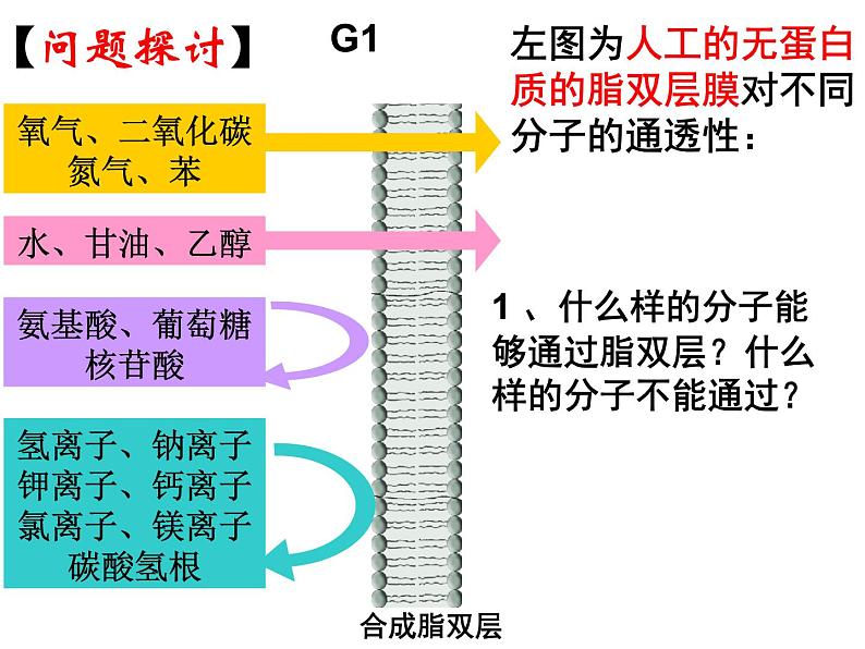 人教版高一生物必修1课件：4.3 物质跨膜运输的方式207