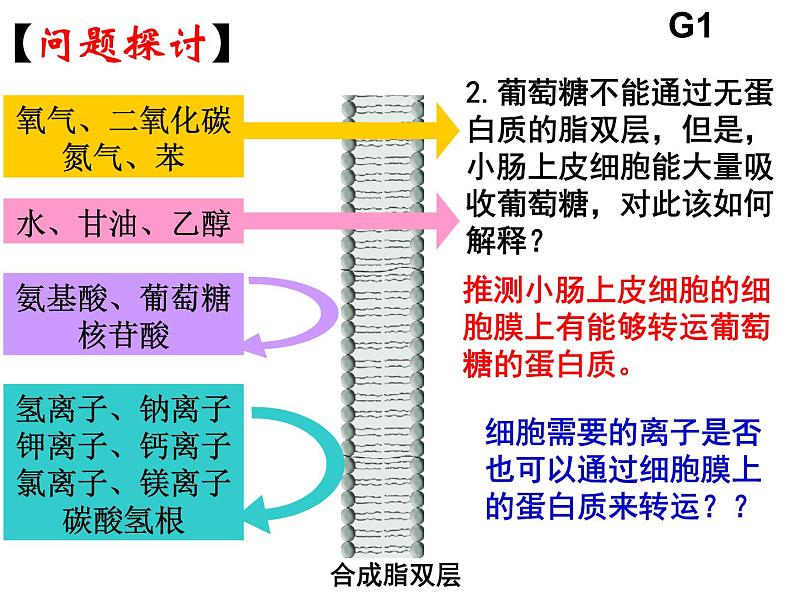 人教版高一生物必修1课件：4.3 物质跨膜运输的方式208