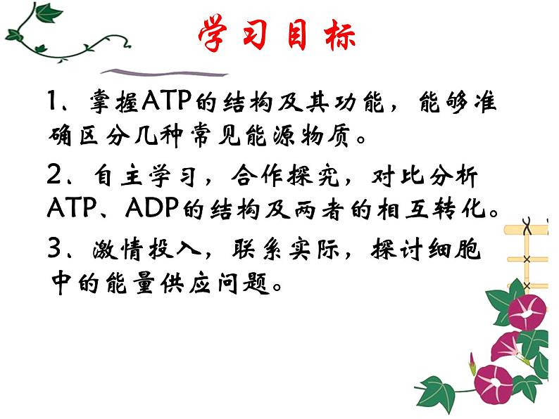 人教版高一生物必修1课件：5.2 细胞的能量“通货”——ATP （共22张PPT）06