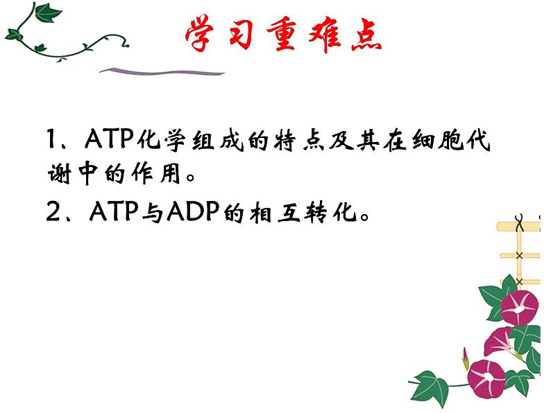 人教版高一生物必修1课件：5.2 细胞的能量“通货”——ATP （共22张PPT）07