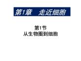 人教版高一生物必修1课件：1.1 从生物圈到细胞 课件（共53张PPT）