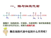 人教版高一生物必修1课件：5.1.1降低化学反应活化能的酶
