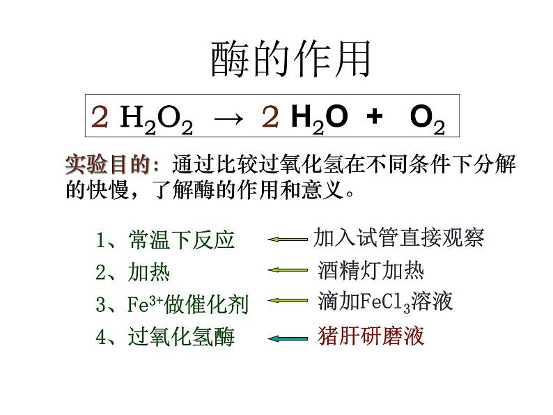 人教版高一生物必修1课件：5.1.1降低化学反应活化能的酶04