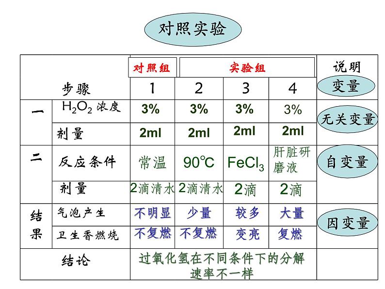 人教版高一生物必修1课件：5.1.1降低化学反应活化能的酶07