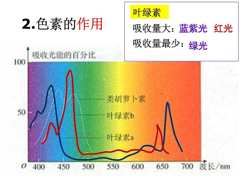 人教版高一生物必修1课件：5.4.1色素与叶绿素07