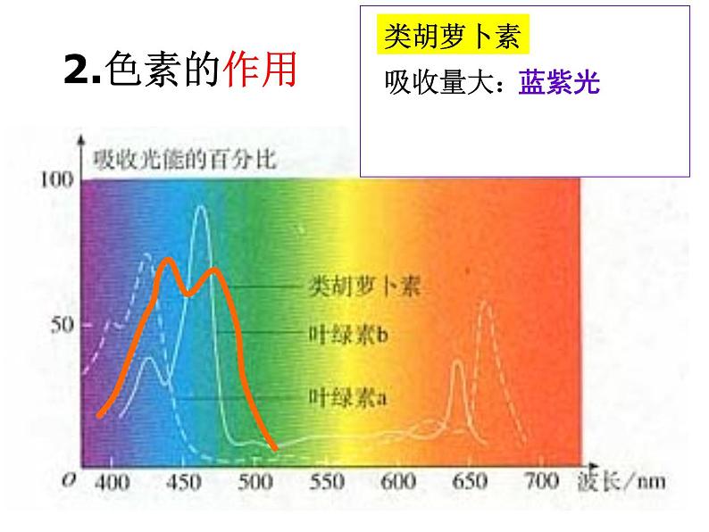 人教版高一生物必修1课件：5.4.1色素与叶绿素08