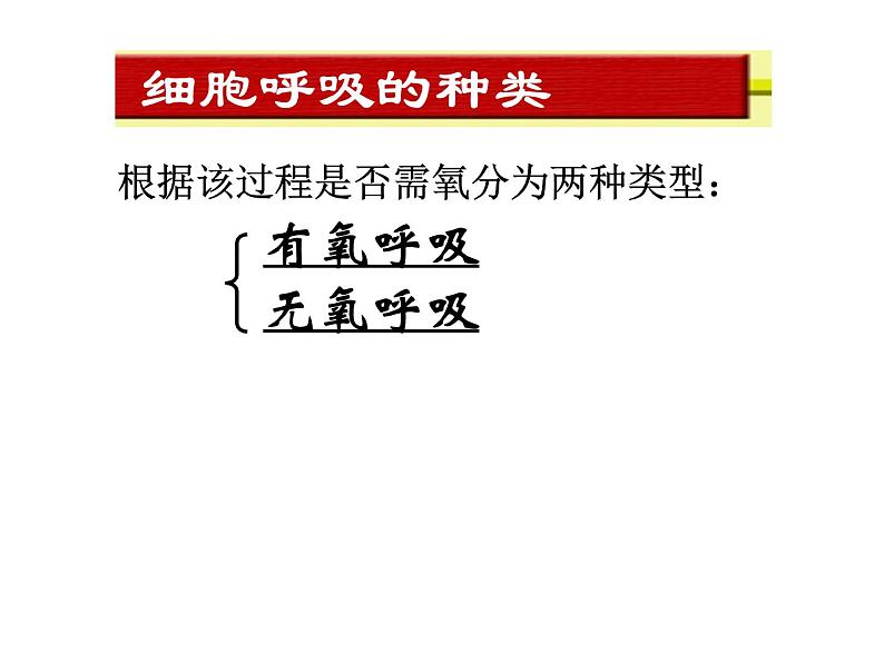 人教版高一生物必修1课件：5.3 ATP的主要来源 （共36张PPT）02