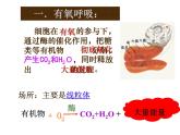 人教版高一生物必修1课件：5.3 ATP的主要来源 （共36张PPT）