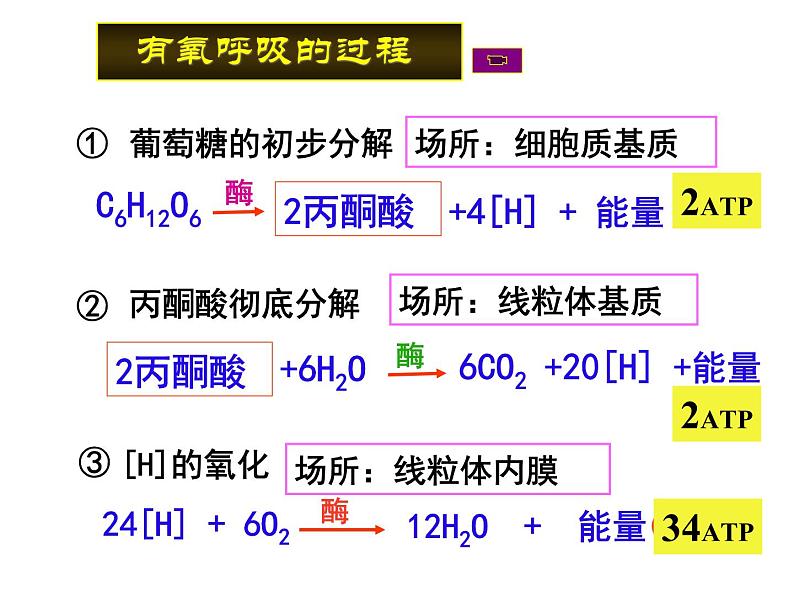 人教版高一生物必修1课件：5.3 ATP的主要来源 （共36张PPT）04