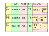 人教版高一生物必修1课件：5.3 ATP的主要来源 （共36张PPT）