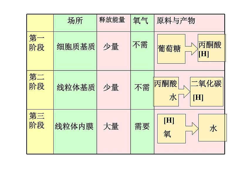 人教版高一生物必修1课件：5.3 ATP的主要来源 （共36张PPT）05