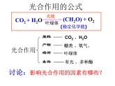 人教版高一生物必修1课件：5.4.3光合作用原理应用