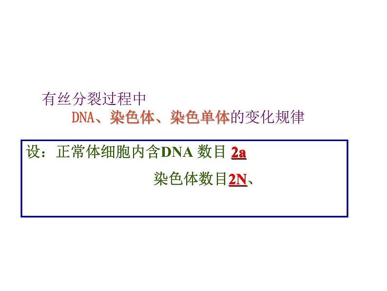 人教版高一生物必修1课件：6.1.3 细胞的增殖08